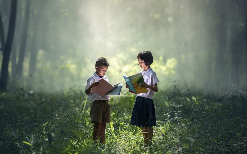 Enfants forêt