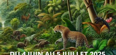 EXPOSITION "Il était une fois la jungle"