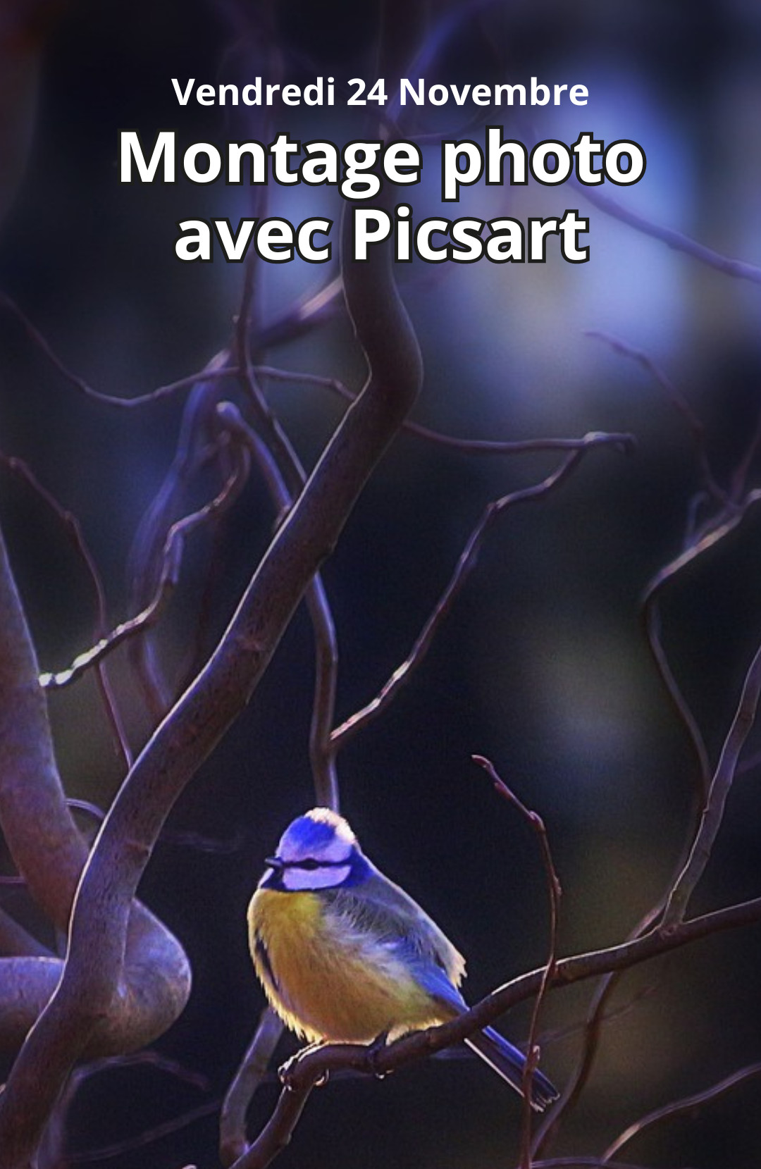 Atelier SMARTPHONE "Montage photo avec Picsart"